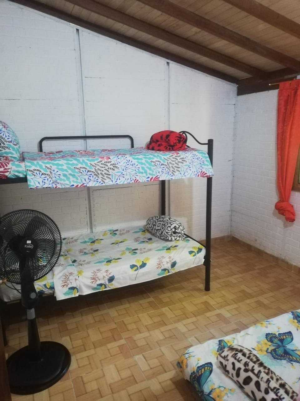Bed, Photo of the whole room, bunk bed