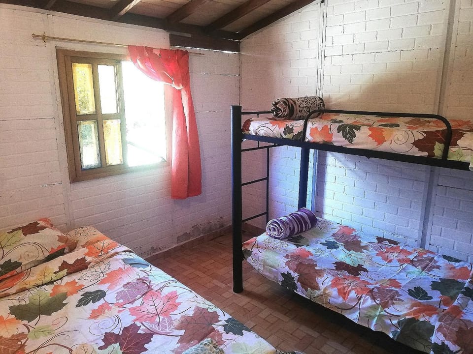Bed, Photo of the whole room, bunk bed