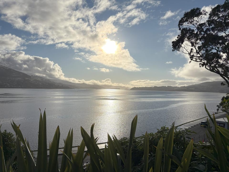 Sunny Waterfront Apartment Apartment in Dunedin