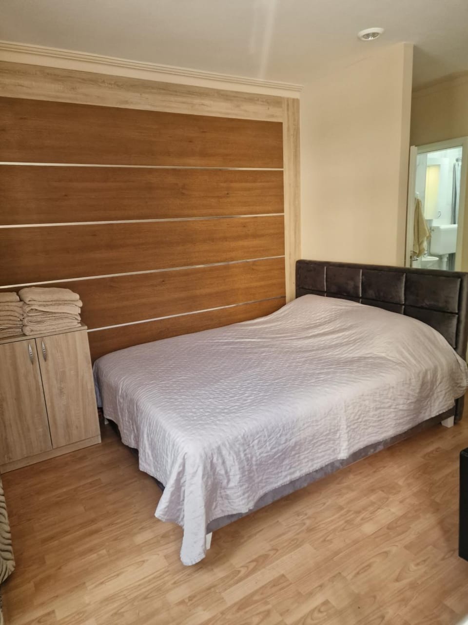 Chaplin Apartment Apartment in Serbia