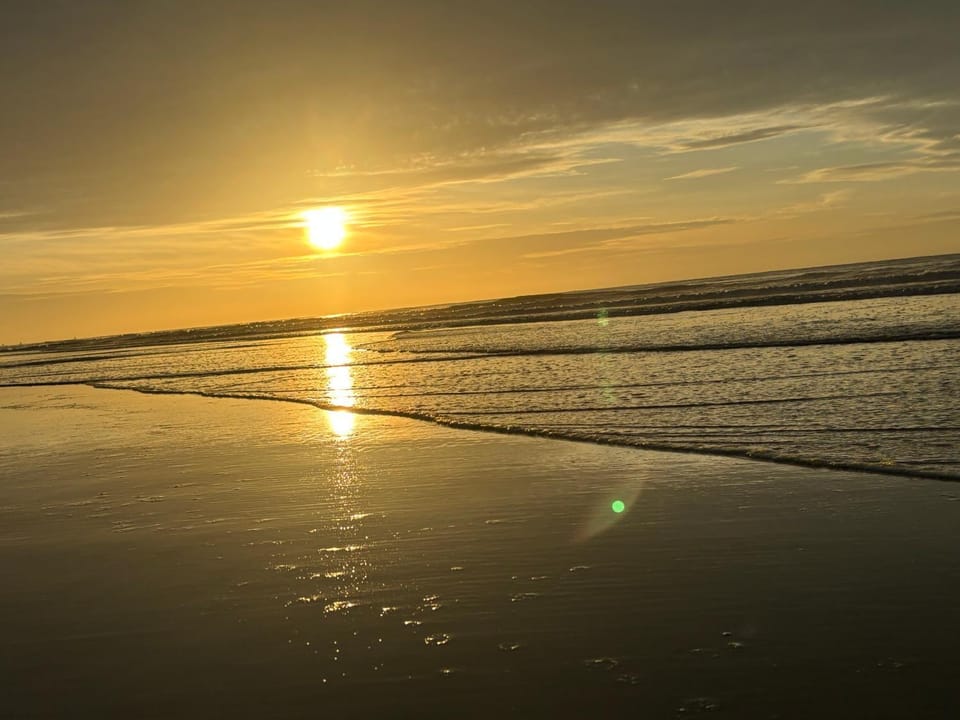 Natural landscape, Beach, Sunset