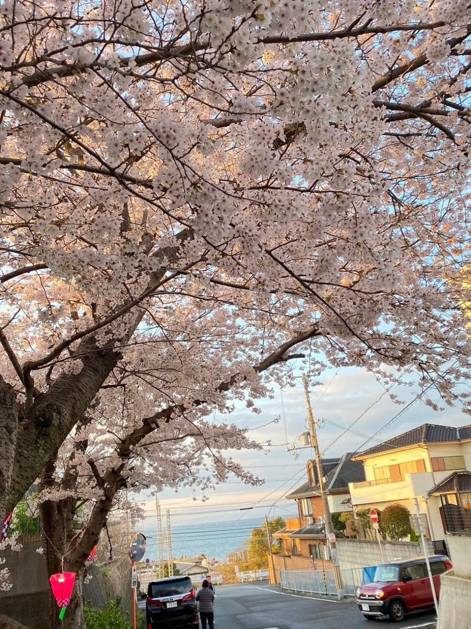 Spring, Neighbourhood