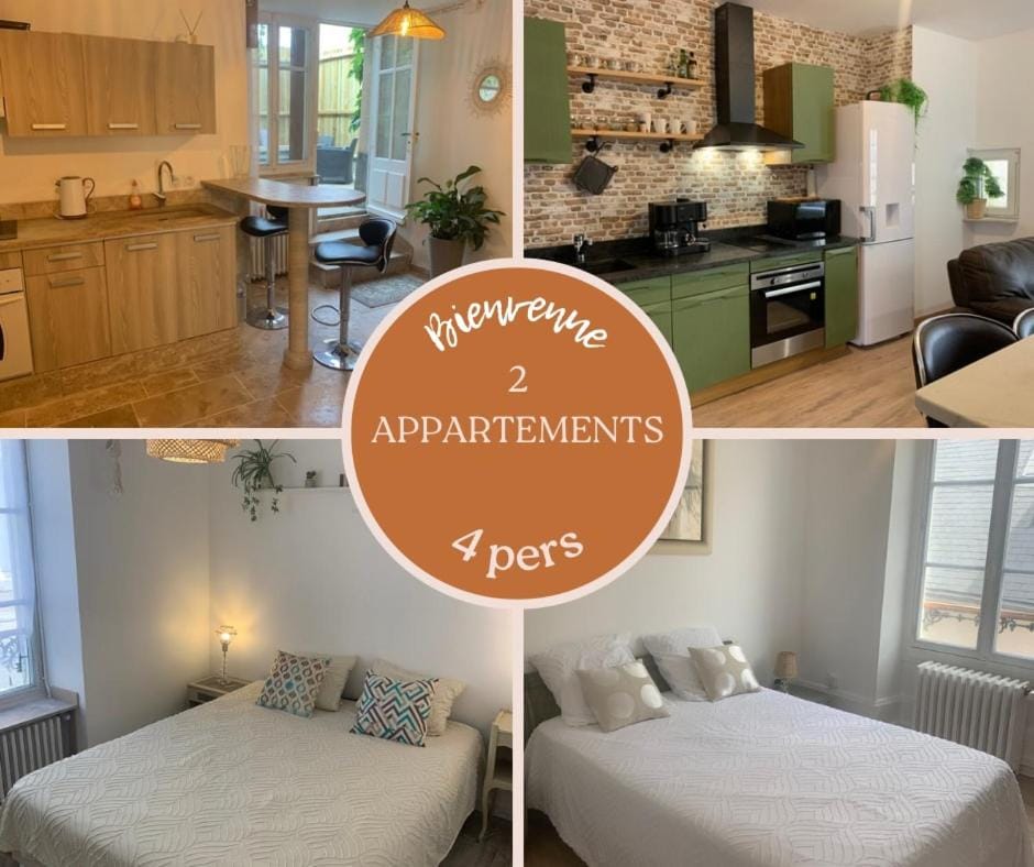 Le Beau Pichot - 2 appartments, 2 chambres, jardin, max 4 pers Apartment in Centre-Val de Loire