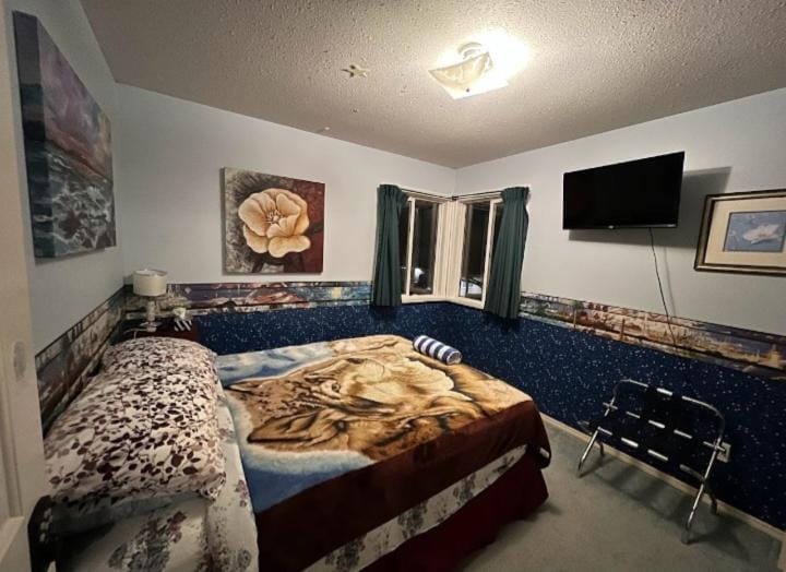 Bed, TV and multimedia, Photo of the whole room, Bedroom