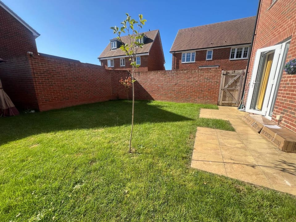 Property building, Garden, Garden view