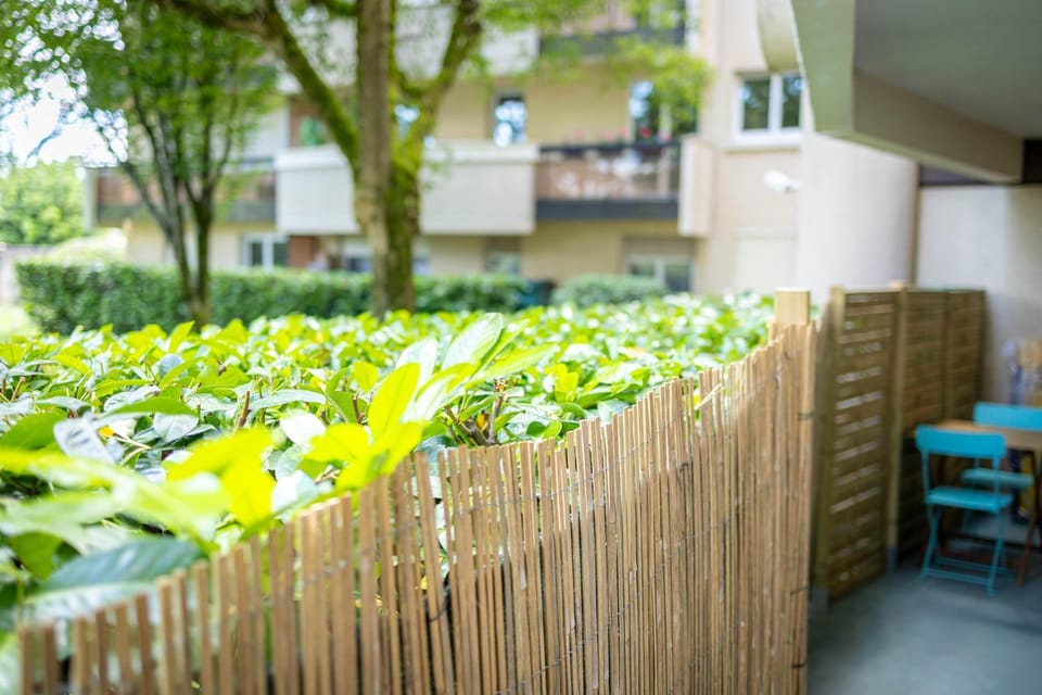 Balcony/Terrace, Garden view