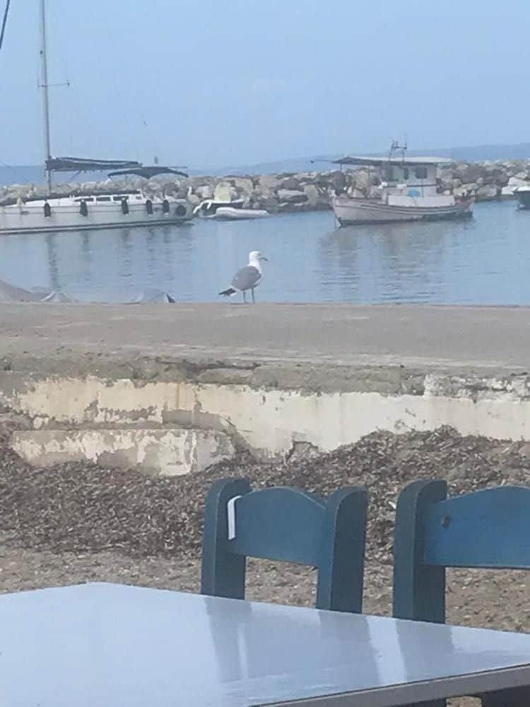 Kallithea Mare Apartment in Halkidiki