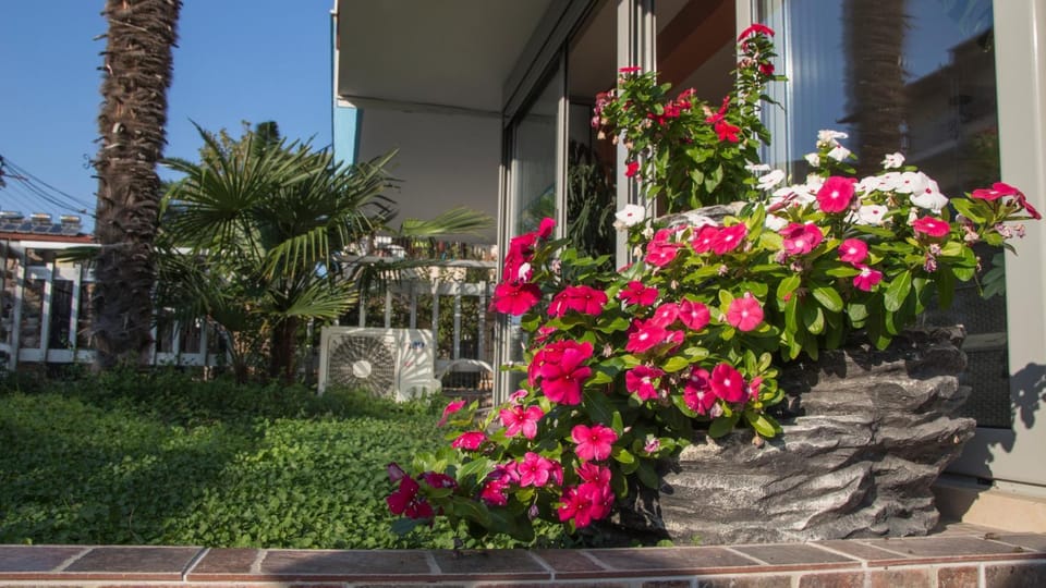 Four Seasons 2 Apartment in Pieria, Greece