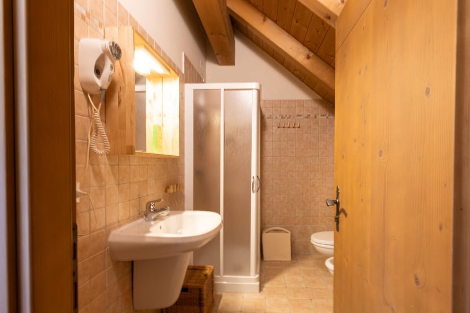 Shower, Toilet, Bathroom, bidet