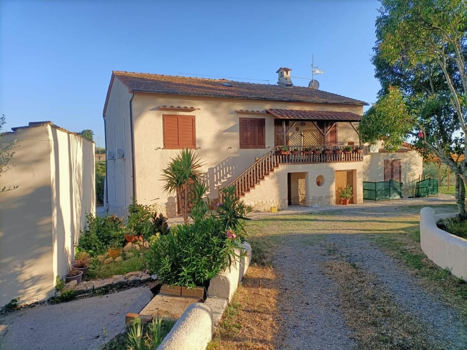 Property building, Day, Garden view