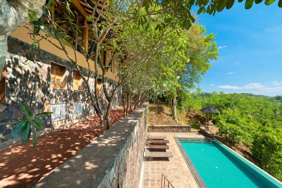 Day, Natural landscape, Garden, Garden view, Pool view, Swimming pool, sunbed