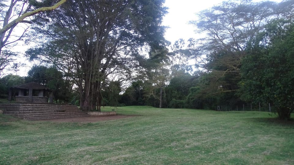 Natural landscape