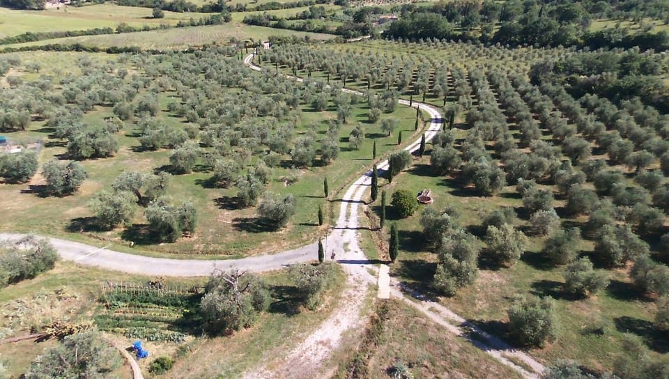 Natural landscape