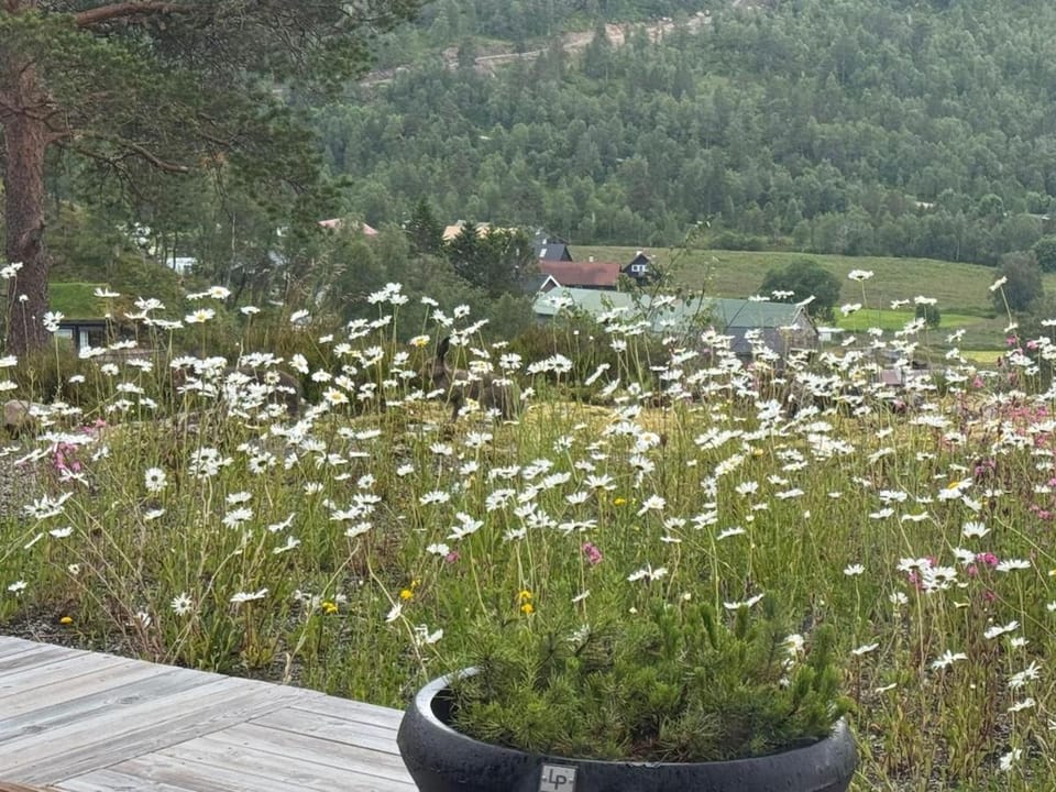 Flott nyere hytte i Sirdal med fantastisk utsikt og solforhold House in Rogaland