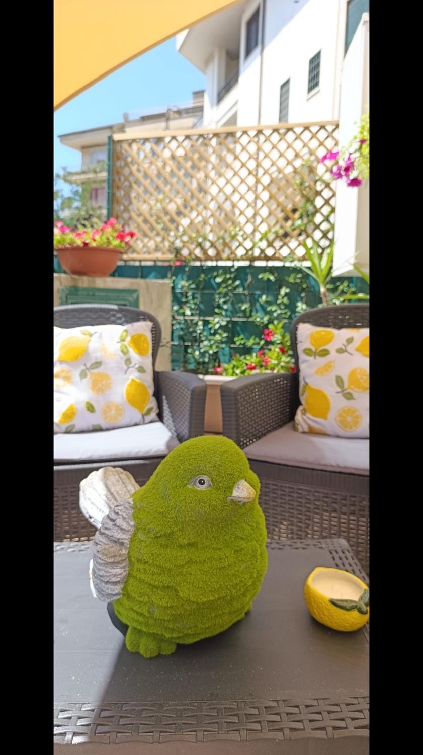 Balcony/Terrace, Balcony/Terrace