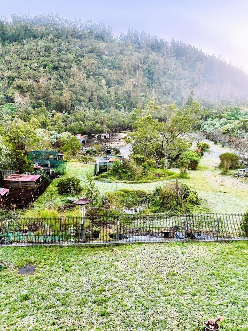 Day, Natural landscape, Garden, Garden view, Mountain view