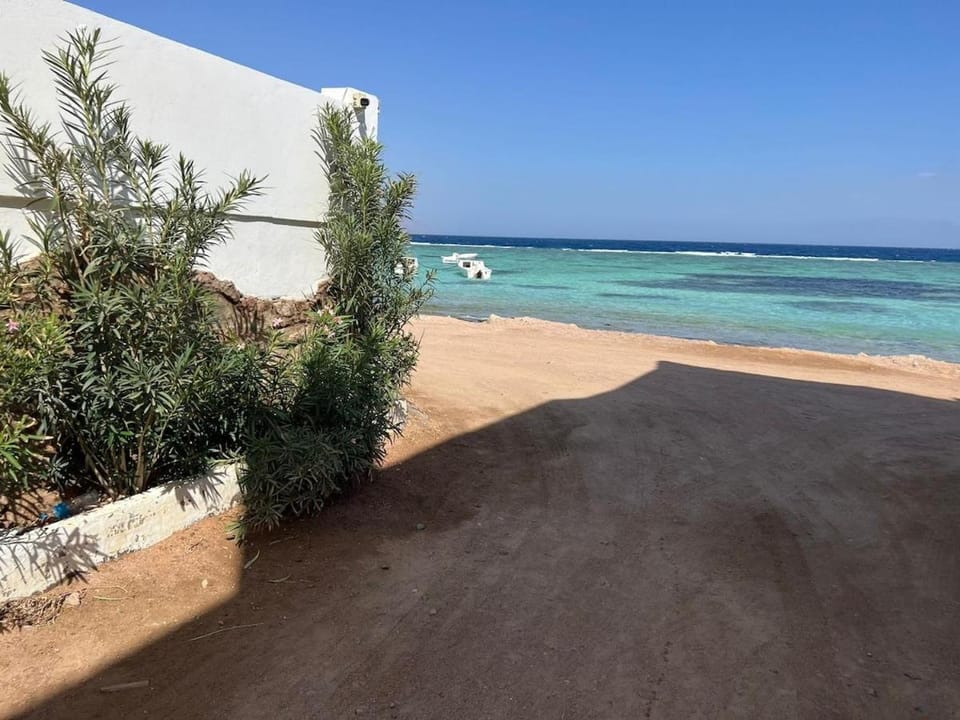 OceanVibe studio Apartment in South Sinai Governorate