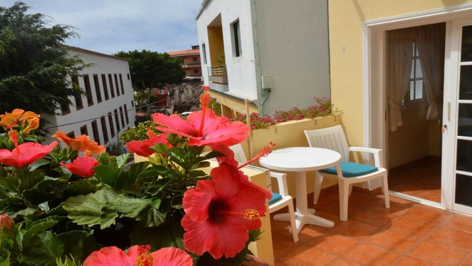 La Molina Estudio Apartment in La Gomera