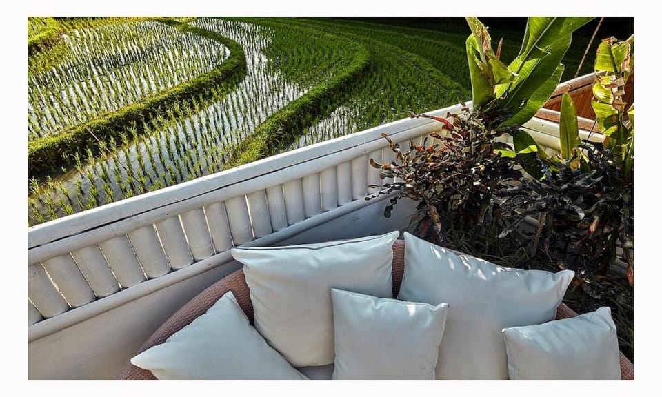The Laut Bali- Private Design Villa with rice field view pool Villa in North Kuta