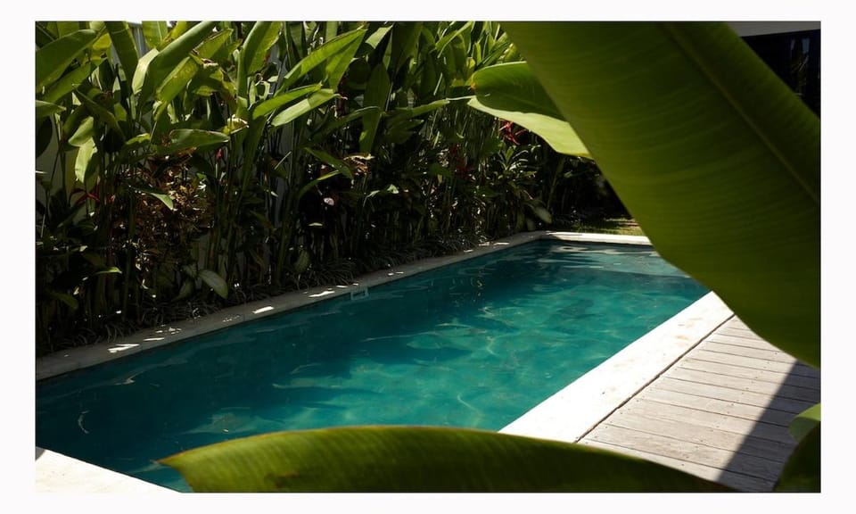 The Laut Bali- Private Design Villa with rice field view pool Villa in North Kuta