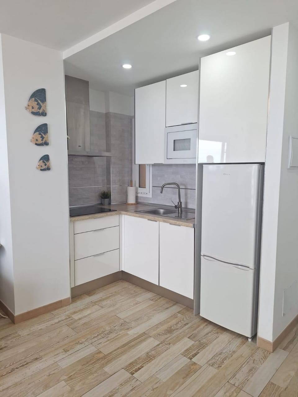 Kitchen or kitchenette, dishwasher