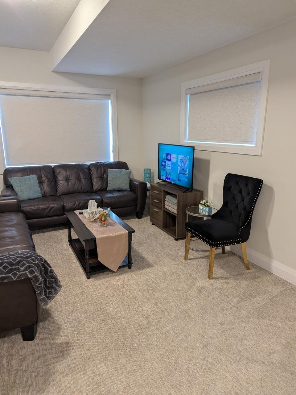 Spacious Luxury walk out Basement Apartment in Kitchener