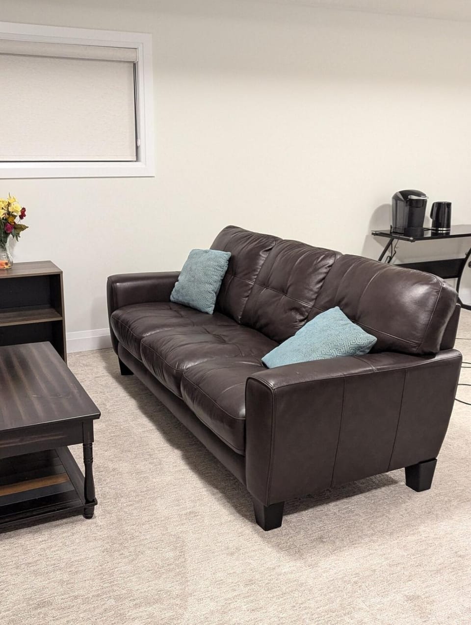 Spacious Luxury walk out Basement Apartment in Kitchener