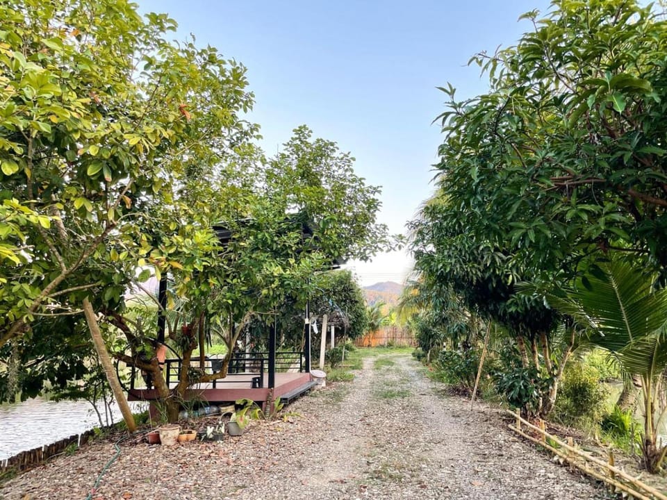 Inner courtyard view