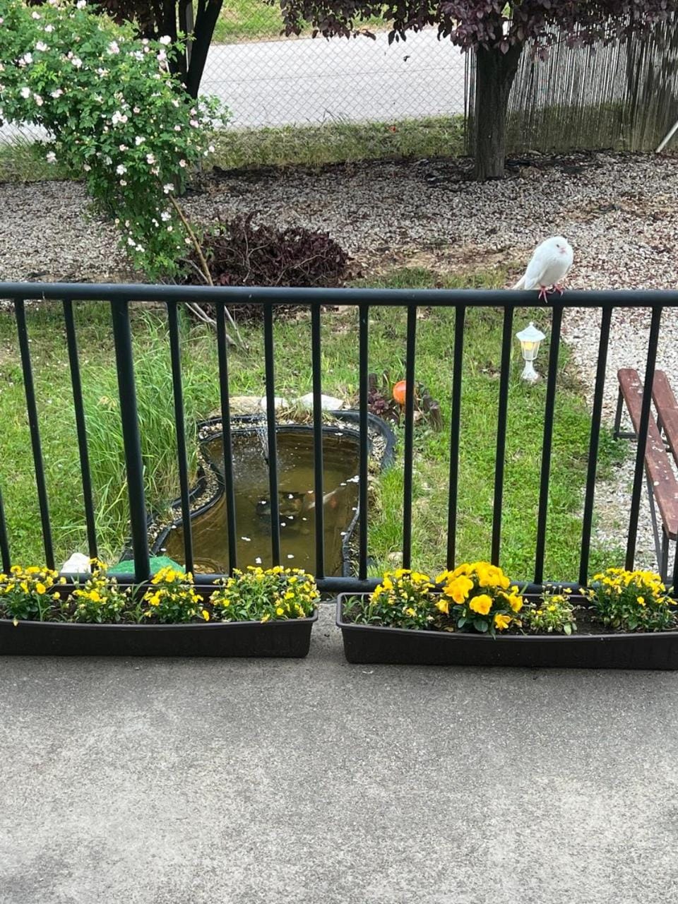 Garden view