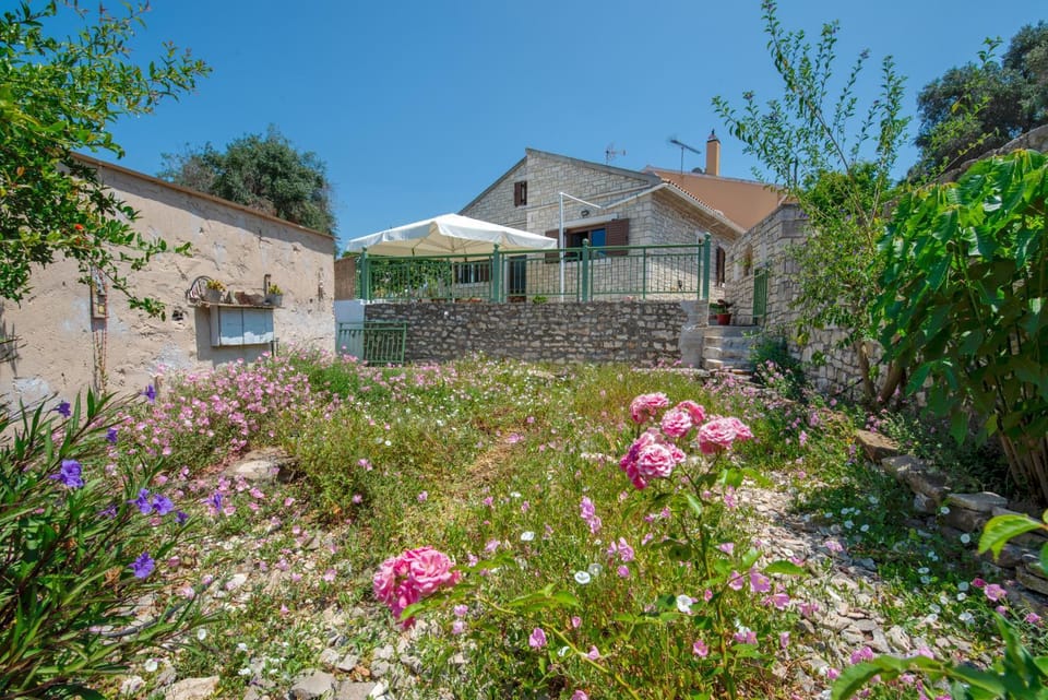 Property building, Garden, Garden view