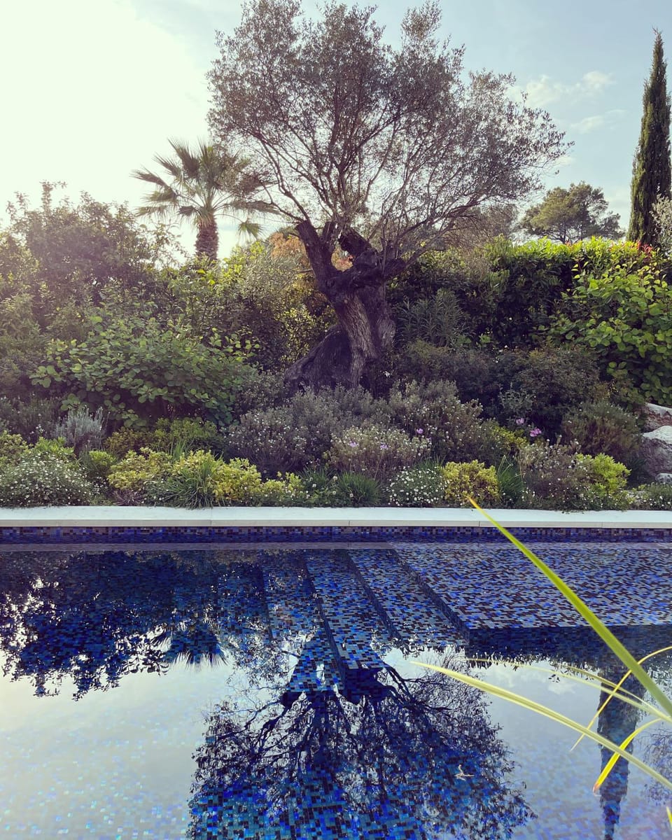 Garden, Swimming pool