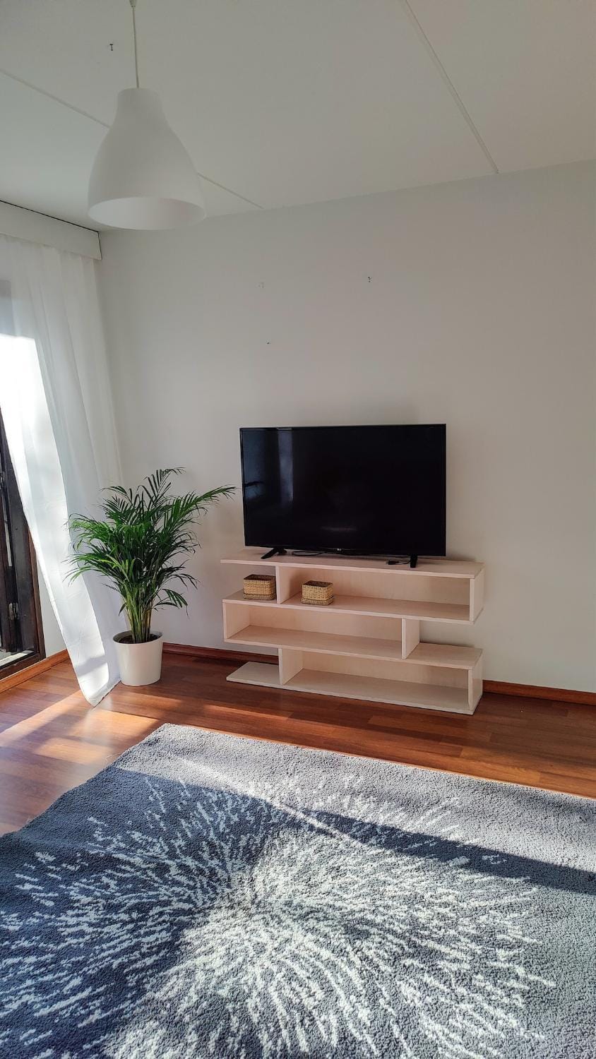 TV and multimedia