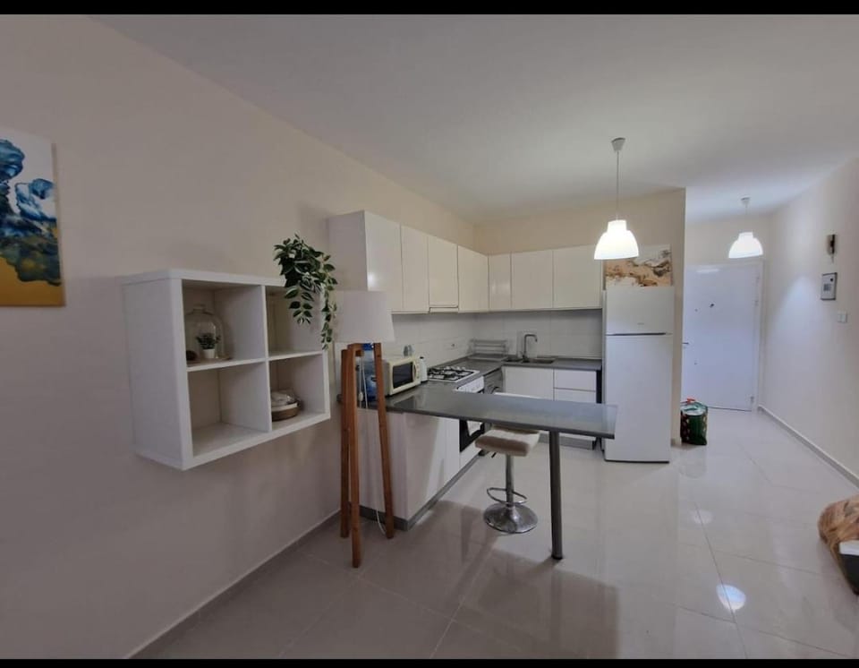 Kitchen or kitchenette, minibar, oven