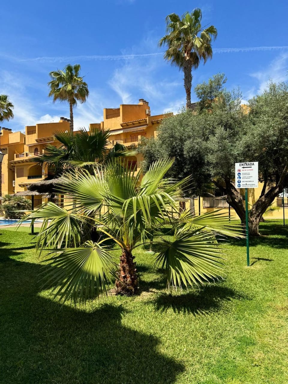 Day, Natural landscape, Garden
