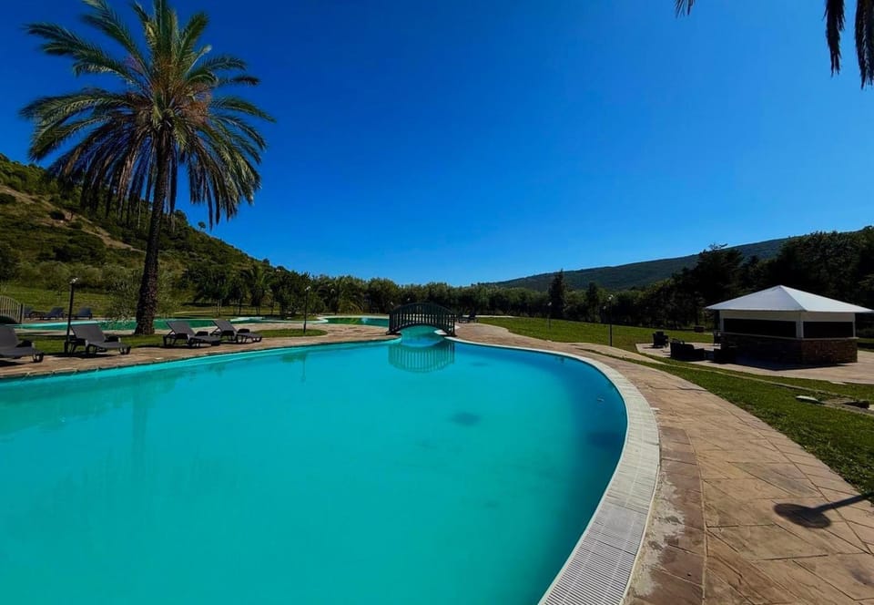Garden, Garden view, Pool view, Swimming pool