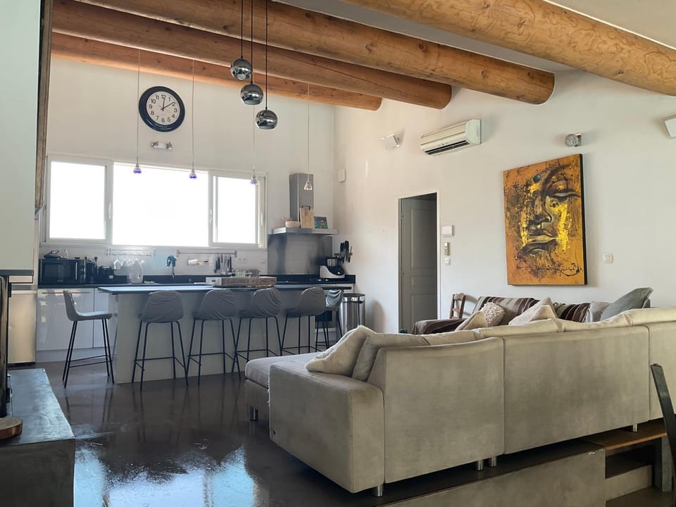 Living room, Dining area, fireplace, air conditioner