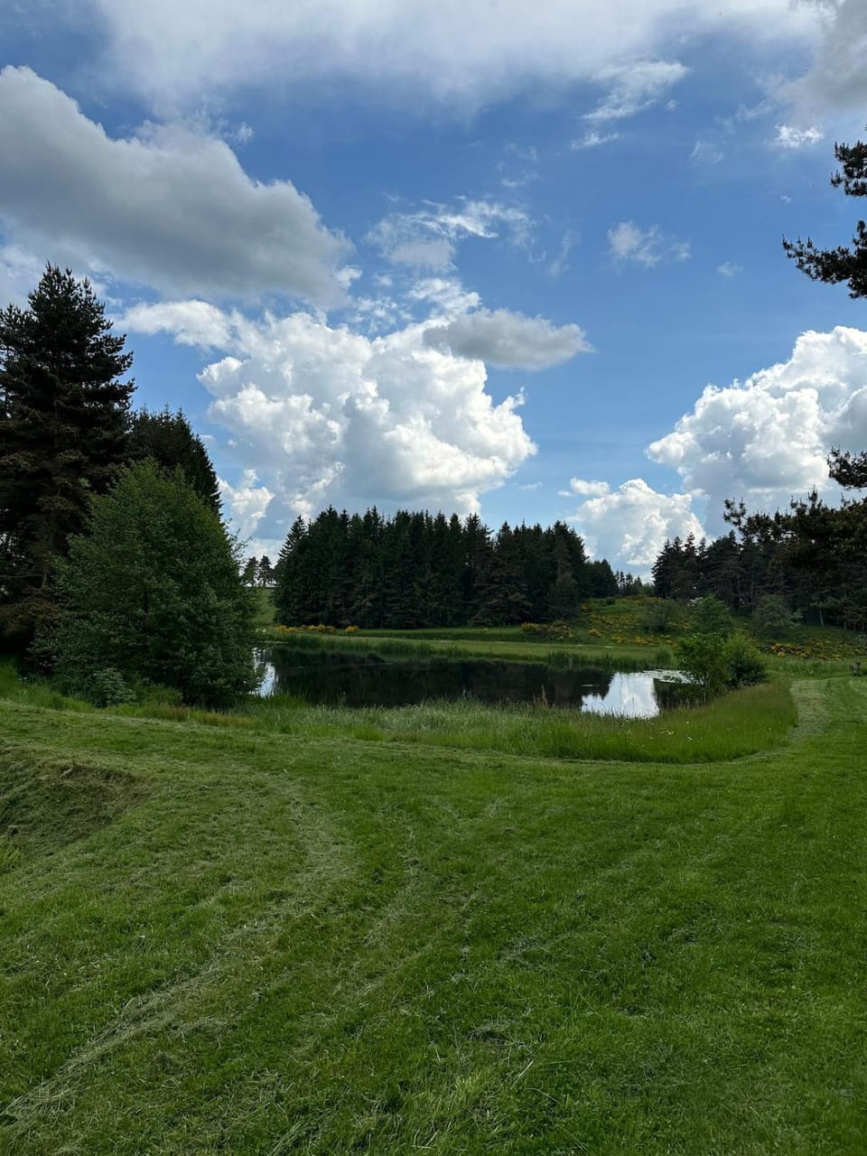 L'écrin ardéchois - Calme, forêt, lac privé House in Provence-Alpes-Côte d'Azur