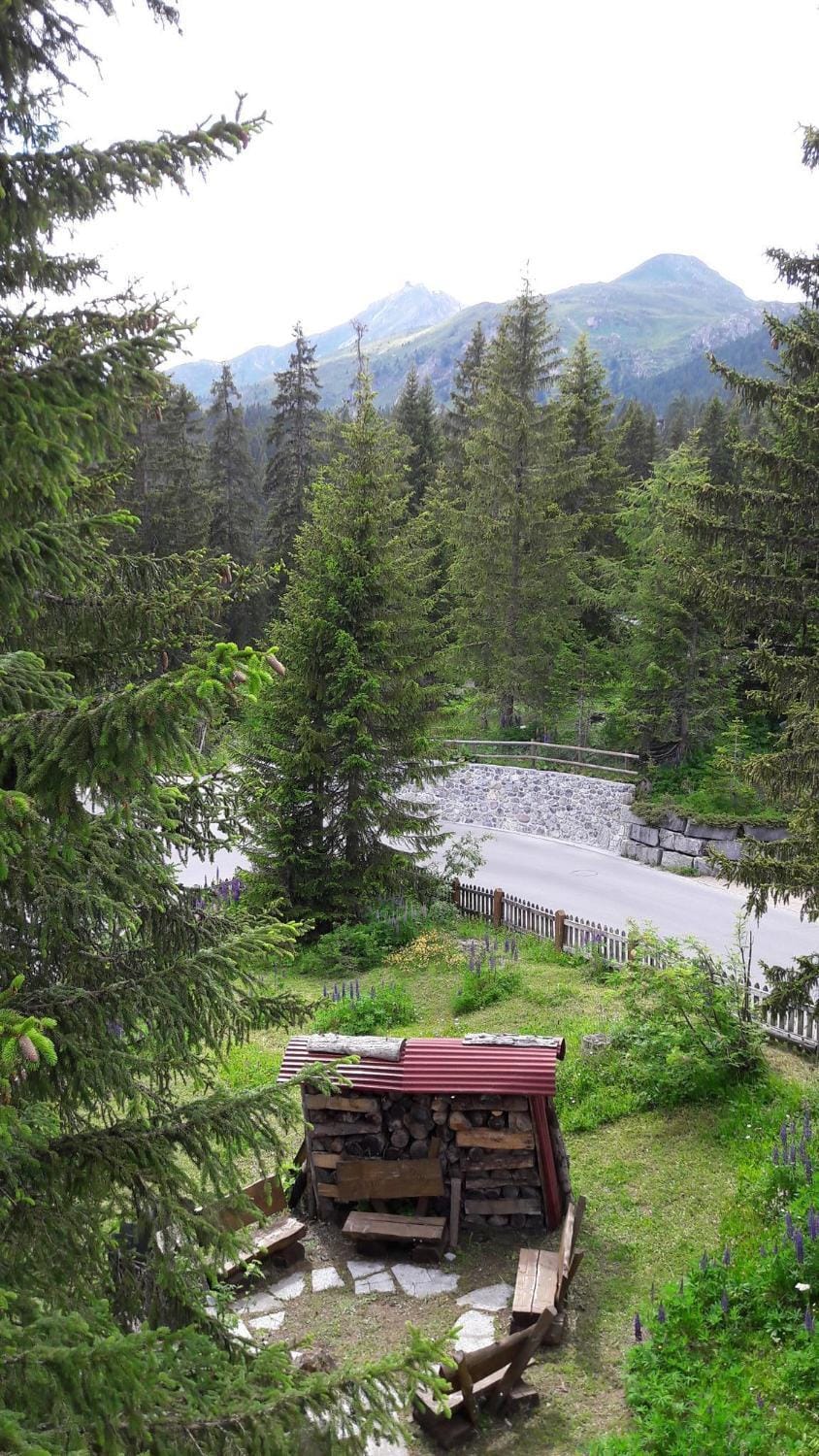 Gollrad 2 Apartment in Arosa