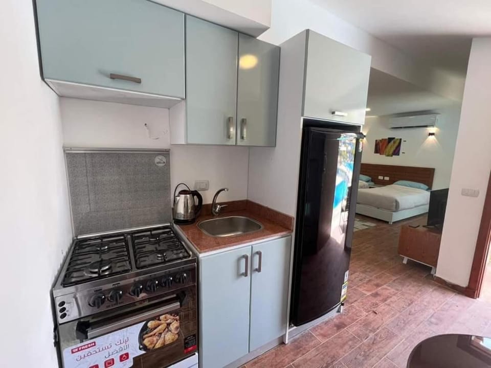 Kitchen or kitchenette, Photo of the whole room, Dining area, oven, stove