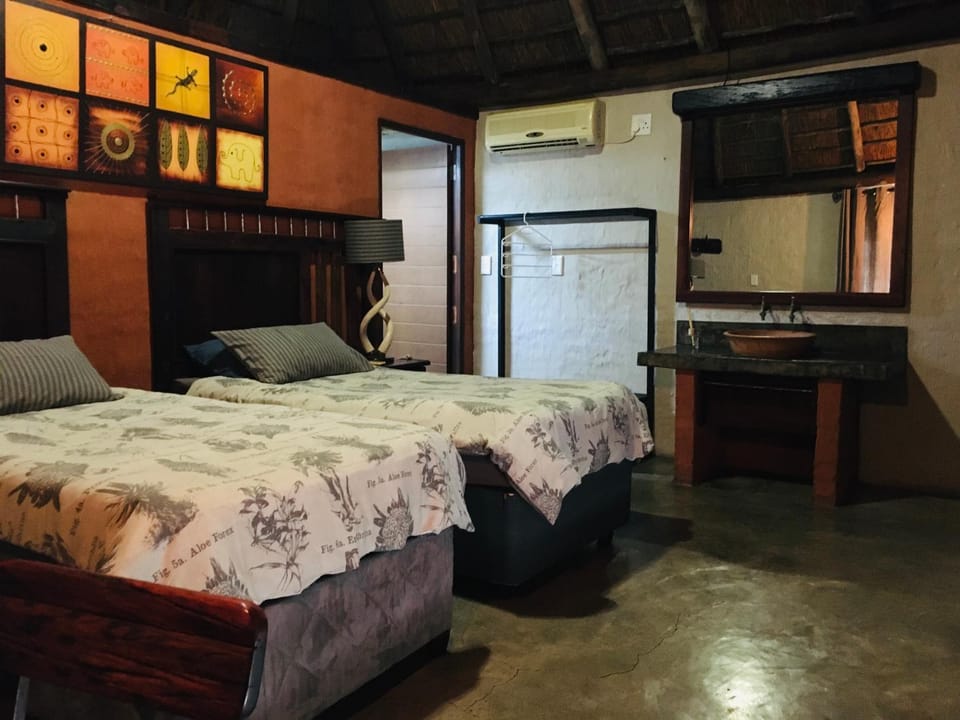 Bed, Kitchen or kitchenette, Photo of the whole room