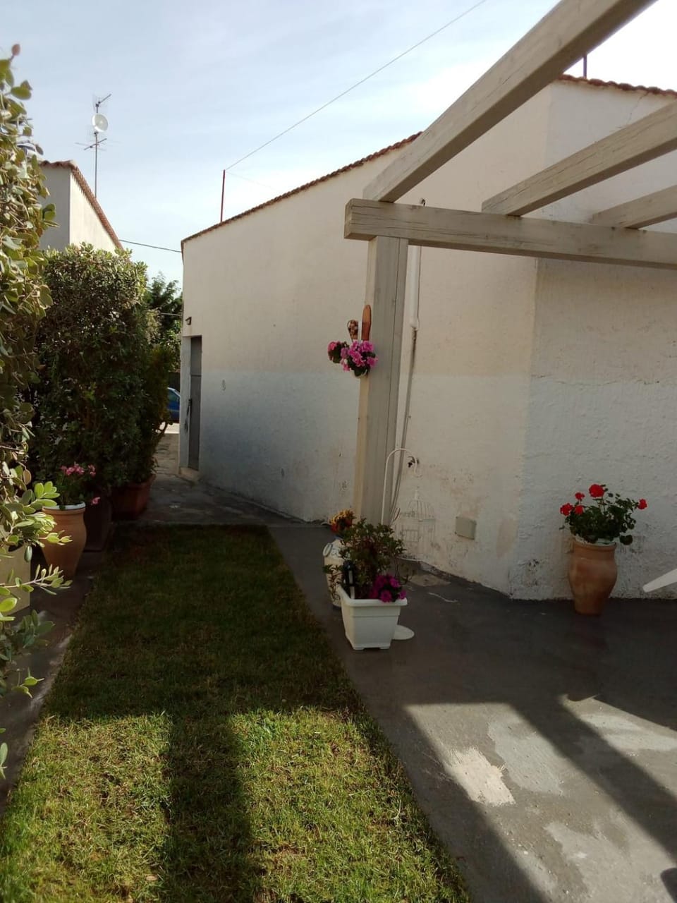 Spring, Day, Garden, Garden view