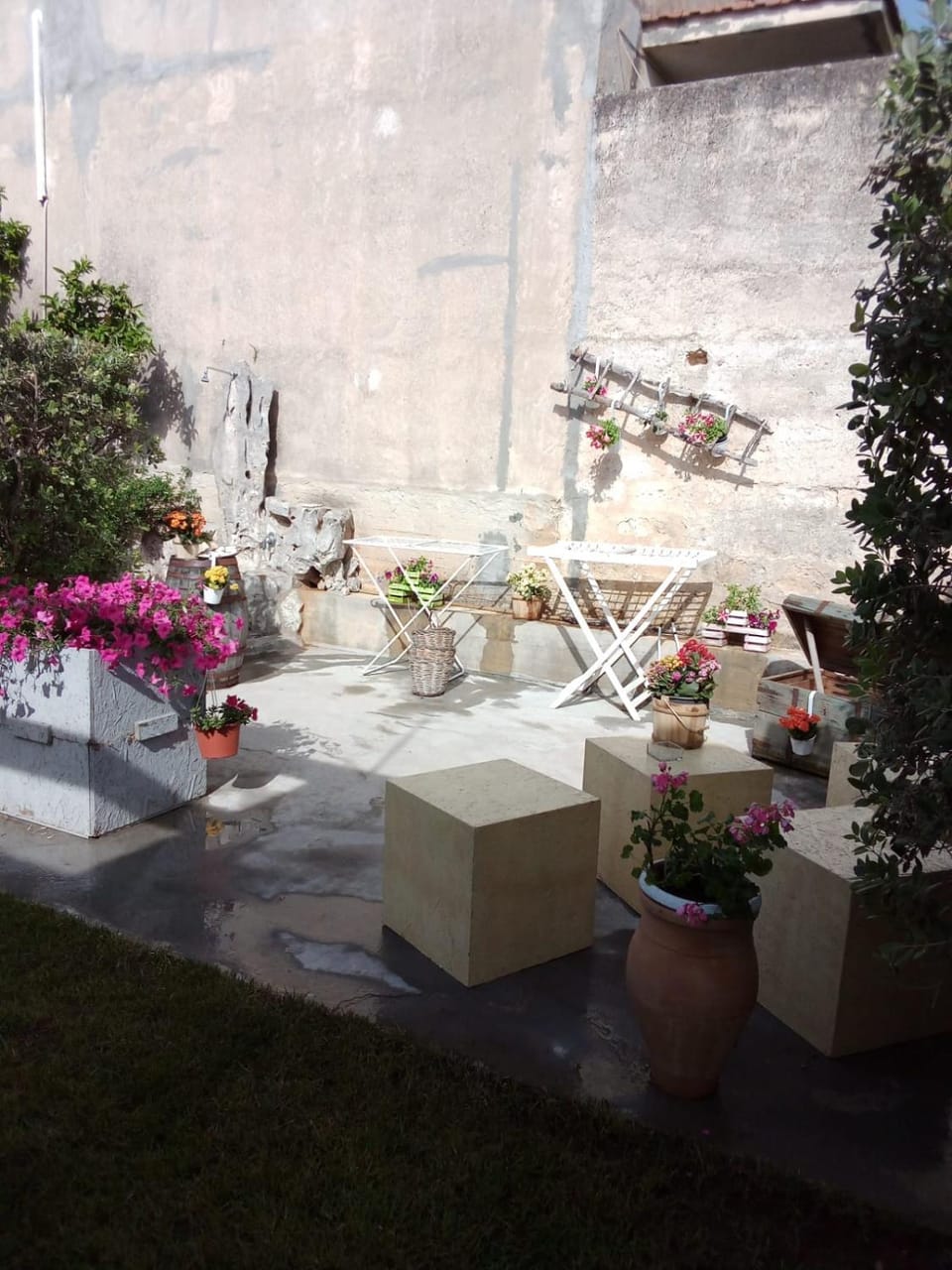 Patio, Spring, Day, Garden, Garden view