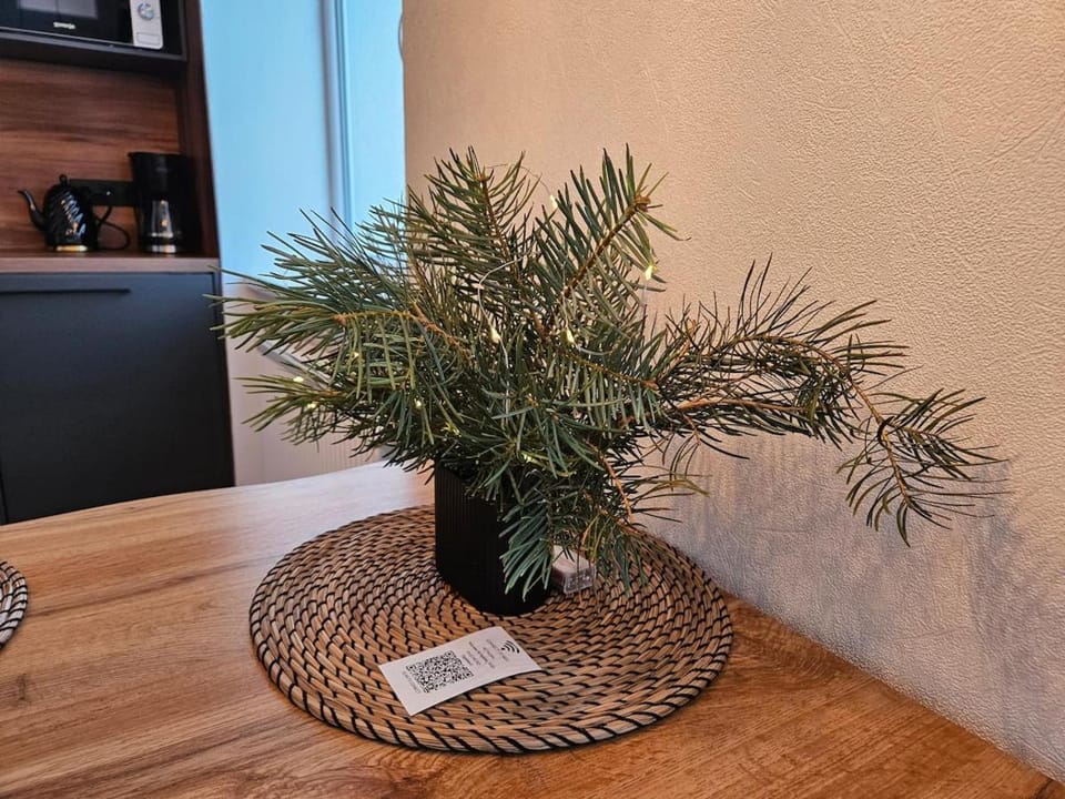 New apartament in city center Apartment in Latvia