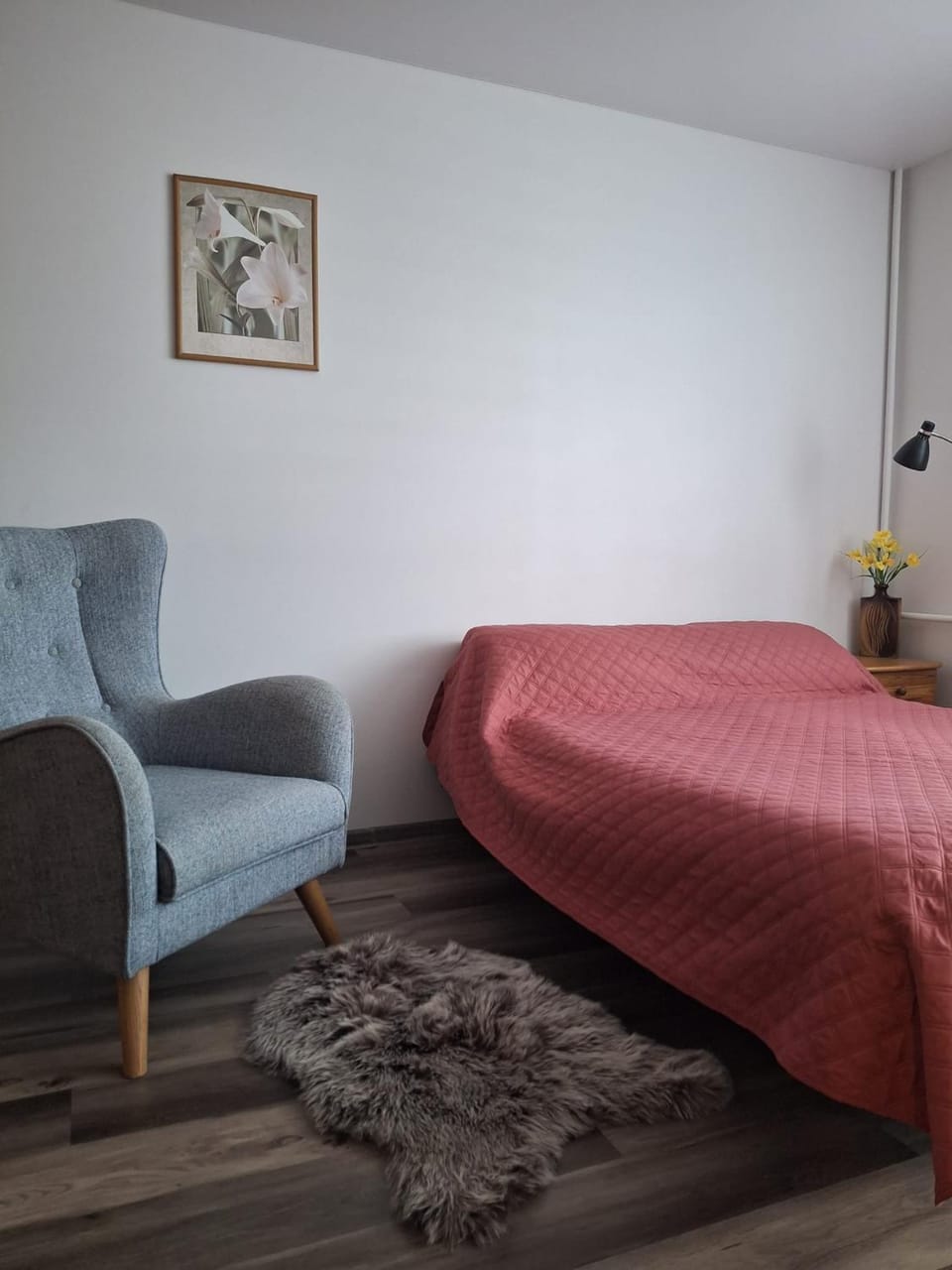 Cozy City Centre Studio Apartment Apartment in Latvia