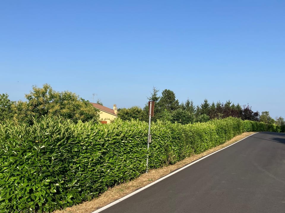 Casa indipendente con ampio giardino House in Emilia-Romagna