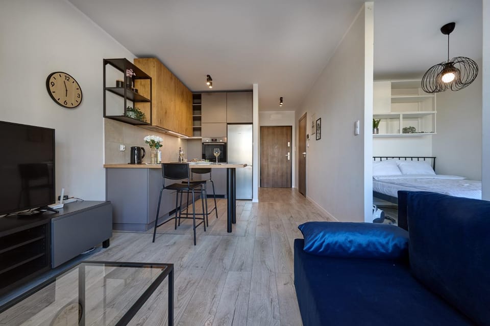 Bed, TV and multimedia, Kitchen or kitchenette, Living room, Photo of the whole room, Seating area, Dining area, Bedroom, minibar, oven, pet friendly, stove