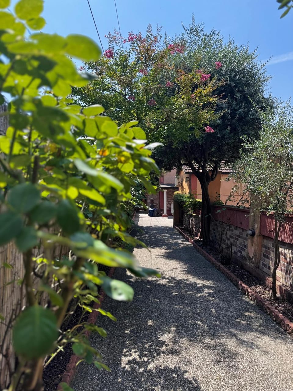 Spring, Day, Garden, Garden view