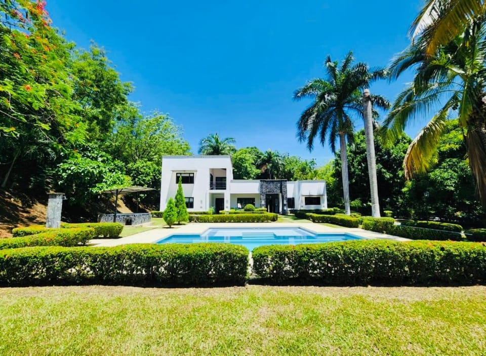 Day, Natural landscape, Garden, Garden, Pool view, Swimming pool