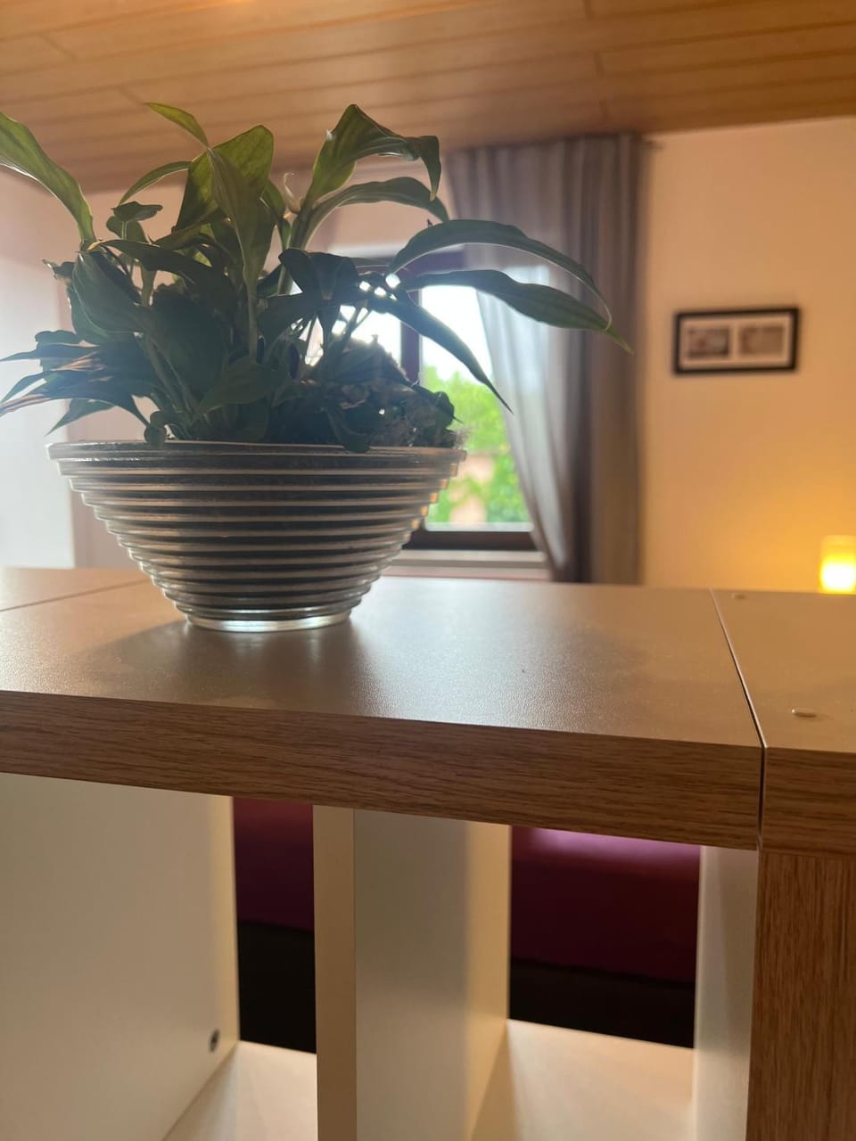 Ferienzimmer Moller Apartment in Hesse