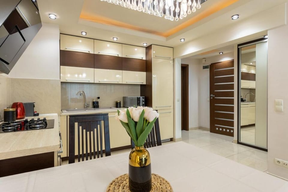 TV and multimedia, Kitchen or kitchenette, minibar, oven, pet friendly, stove, toaster